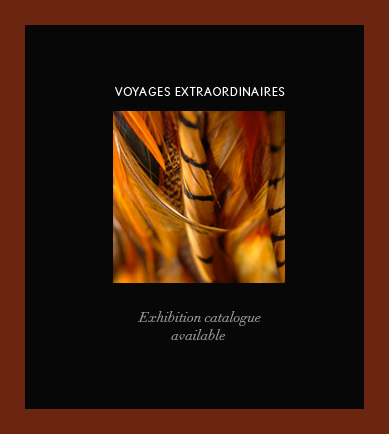 Voyages Extraordinaires - Exhibition catalogue available