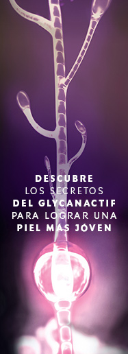 Wikipedia Glycobiology - Youth Liberator