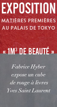 Exposition FabriceHyber au Palais de Tokyo 