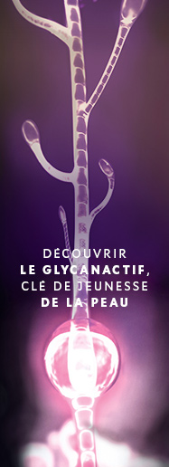 Wikipedia Glycobiologie - Youth Liberator