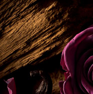 Majestic Rose Fragrance Accord