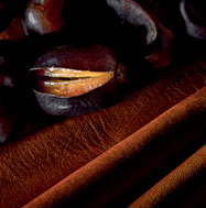 Noble Leather Fragrance Accord