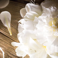 Supreme Bouquet Fragrance Accord