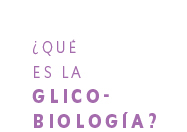 ¿Qué es la glicobiología? 